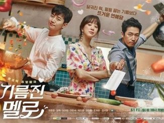 Download Drama Korea Wok of Love Subtitle Indonesia